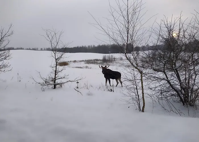 Semesterbostad Na 4 Lapy Zywki
